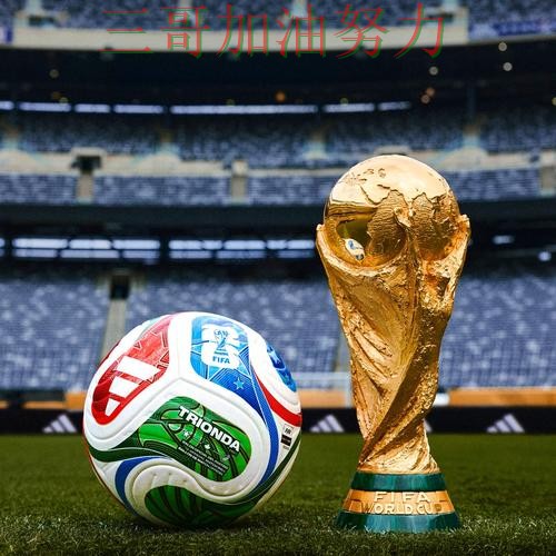 世界杯买球网站哪个好?真实体验带你了解(2026世界杯) 世界杯买球网站哪个好?真实体验带你了解(2026世界杯)